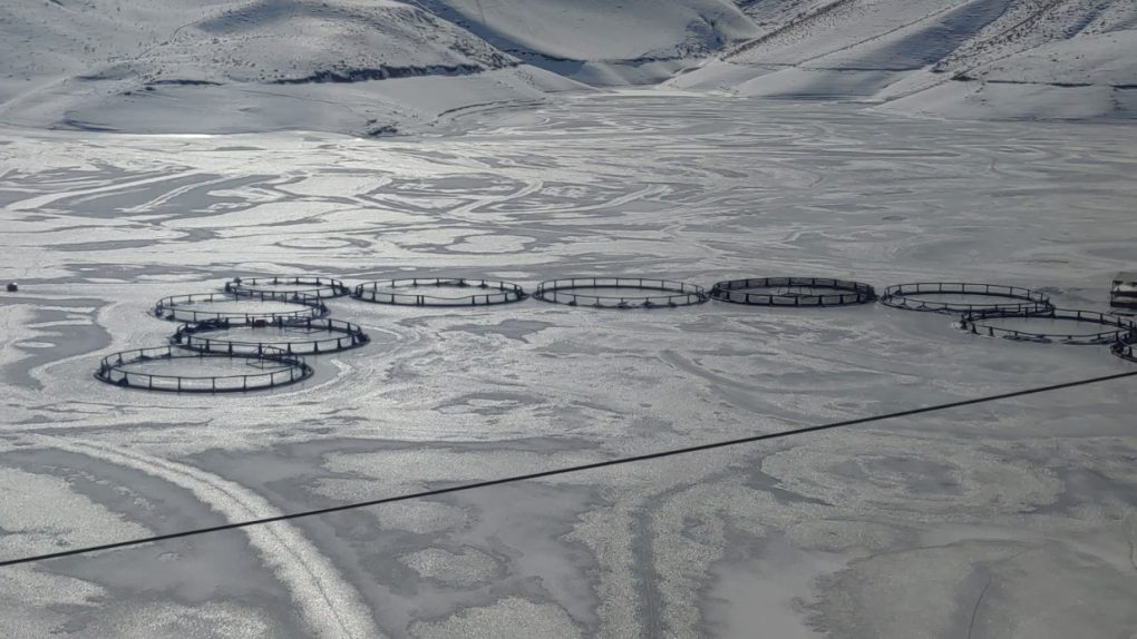 Van’da Sibirya soğukları: Barajlar buz tuttu